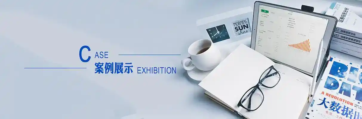 古县软件开发